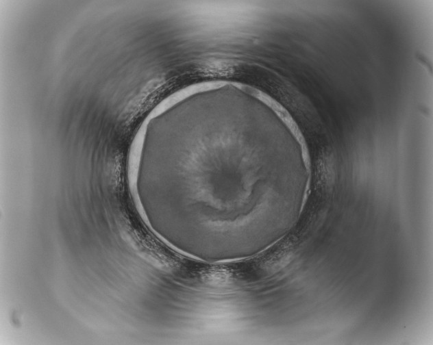 X0000103930600200810031301