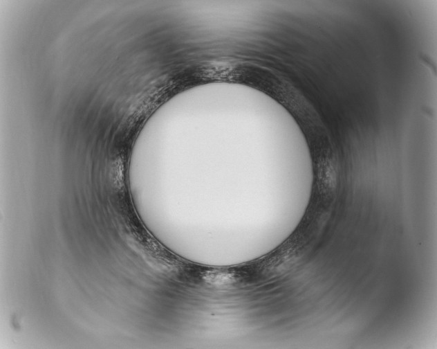X0000103930602200810031301