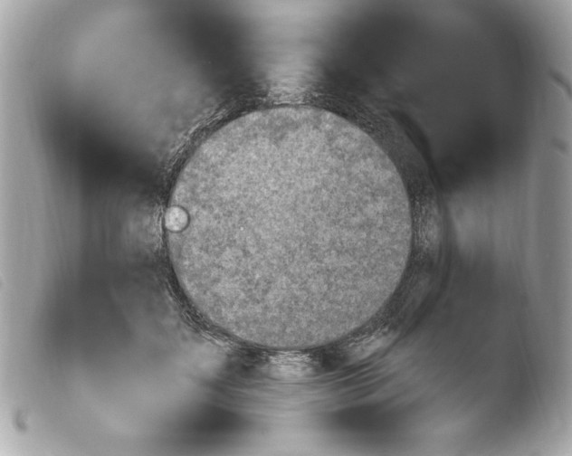 X0000103930603200810031301