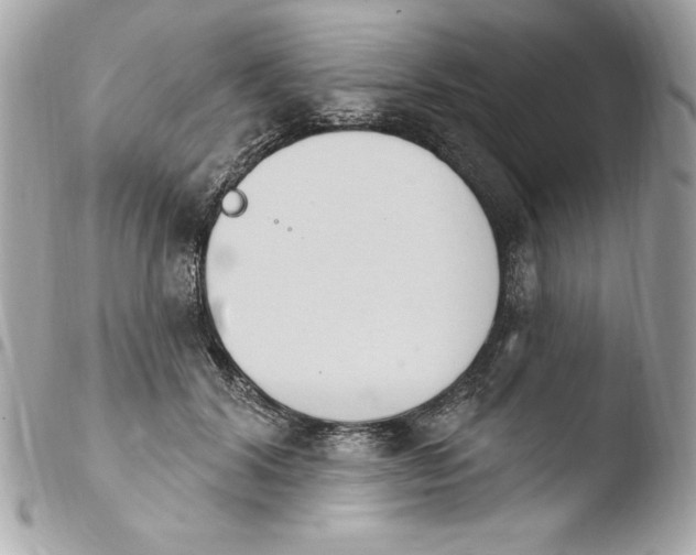 X0000103930604200810031301