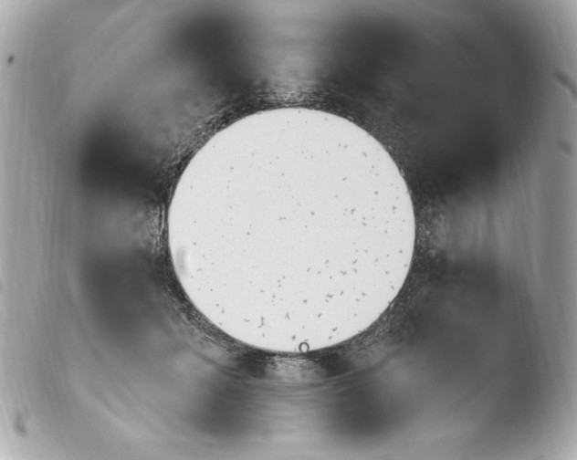 X0000103930605200810031301