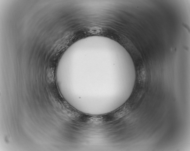 X0000103930606200810031301