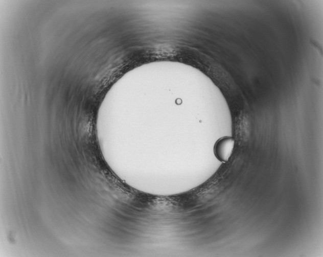X0000103930608200810031301