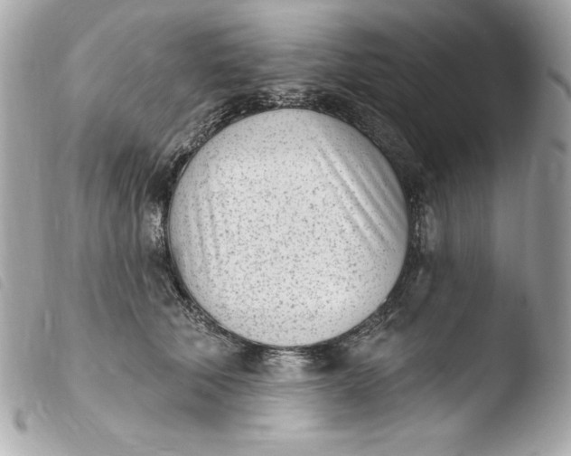 X0000103930610200810031301