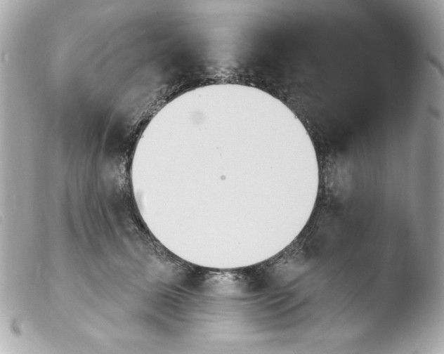 X0000103930611200810031301