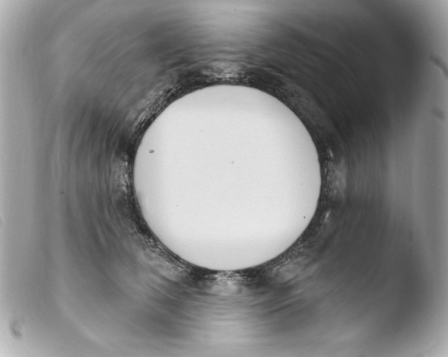 X0000103930612200810031301