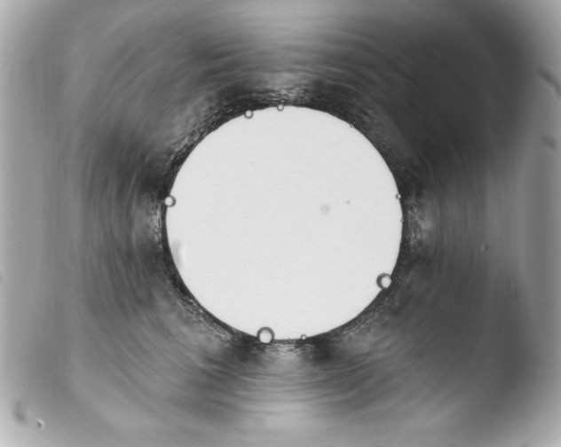 X0000103930613200810031301