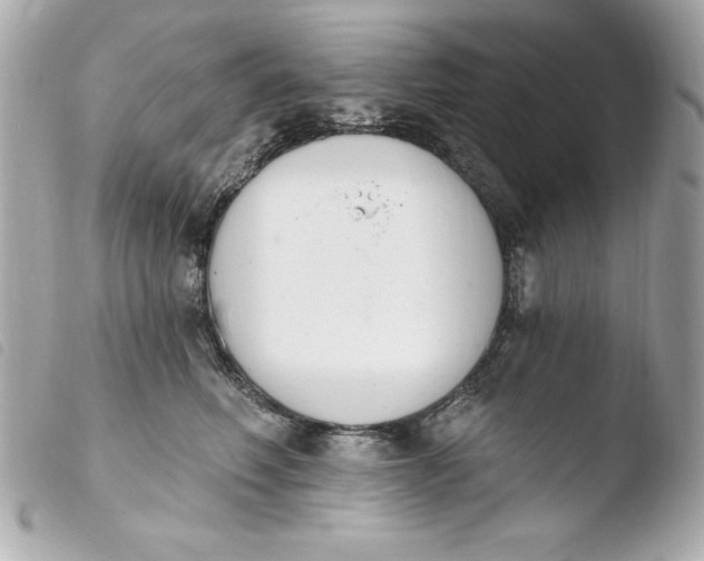 X0000103930614200810031300