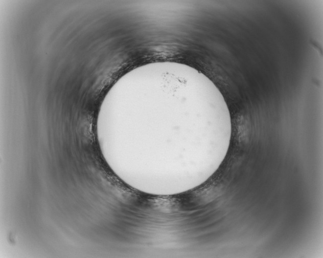 X0000103930615200810031300