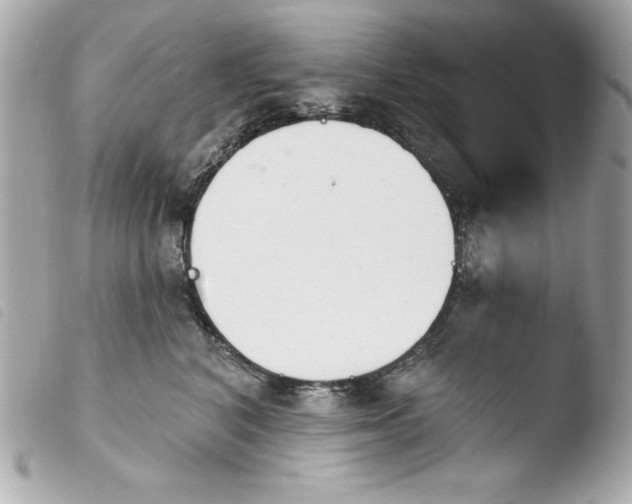 X0000103930616200810031300