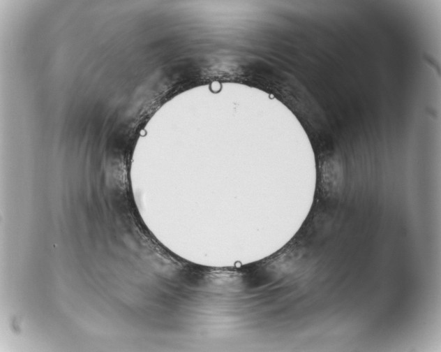 X0000103930617200810031300