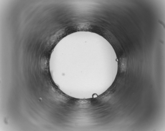 X0000103930619200810031300