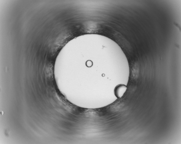 X0000103930620200810031300