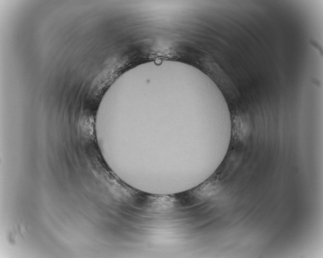 X0000103930621200810031300