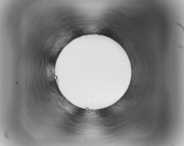 X0000103930624200810031300