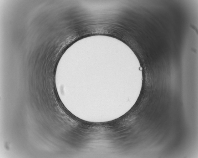 X0000103930625200810031300