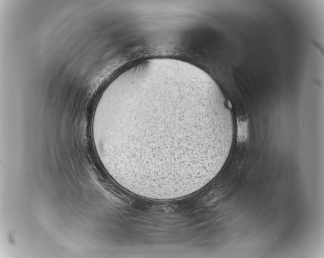 X0000103930627200810031300