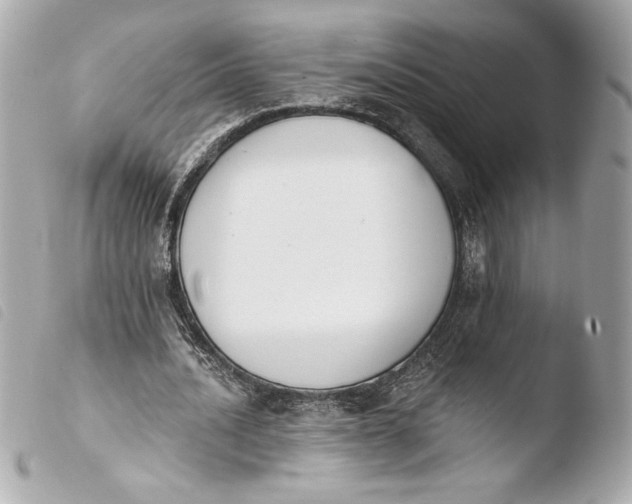 X0000103930628200810031300