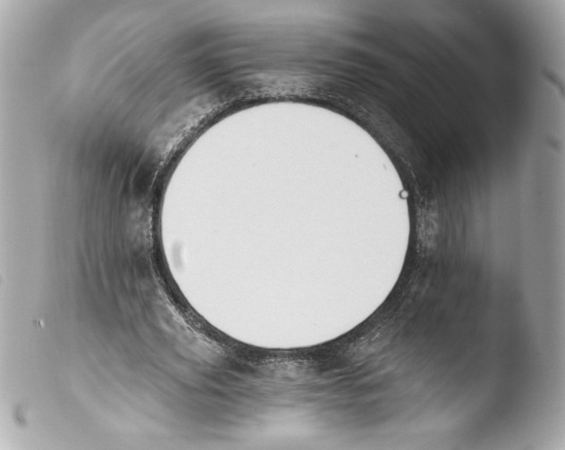 X0000103930629200810031300