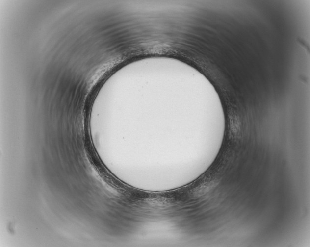 X0000103930630200810031300