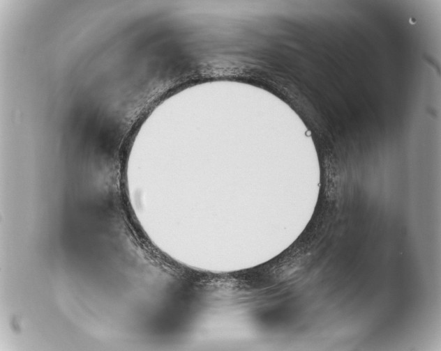 X0000103930631200810031300