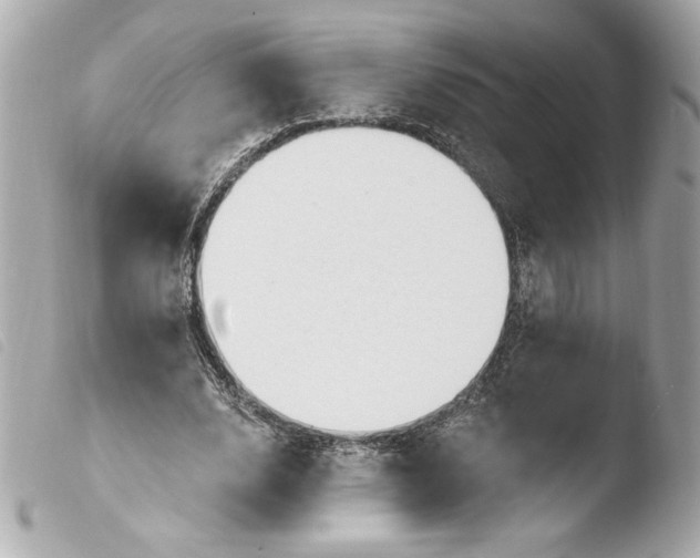 X0000103930632200810031300
