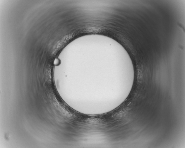 X0000103930633200810031300