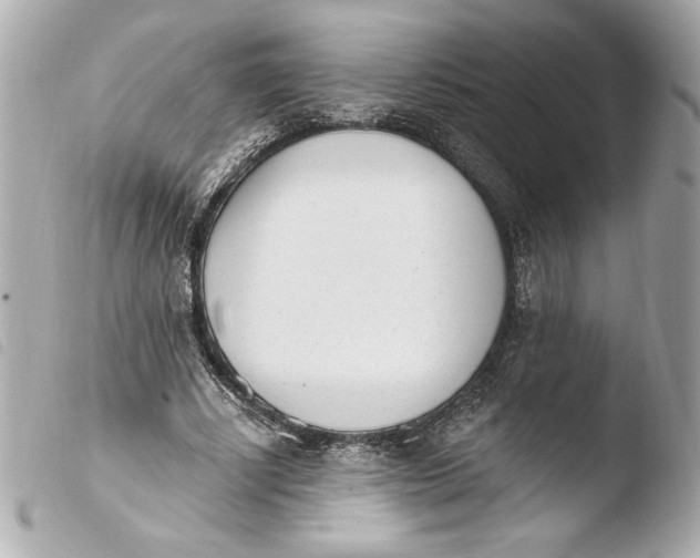 X0000103930634200810031300
