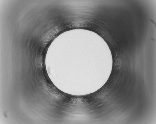 X0000103930635200810031300