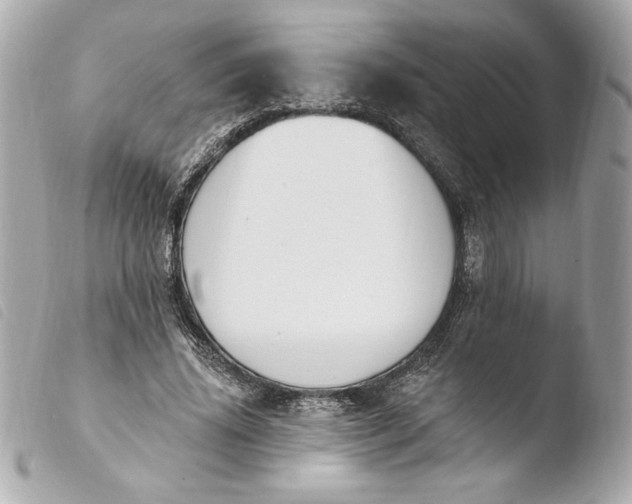 X0000103930636200810031300