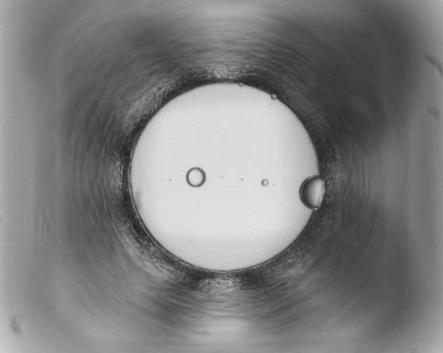 X0000103930639200810031300