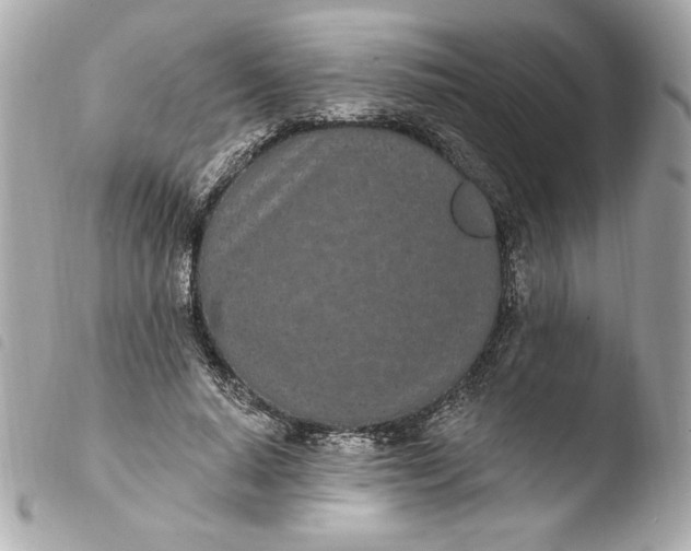 X0000103930640200810031300