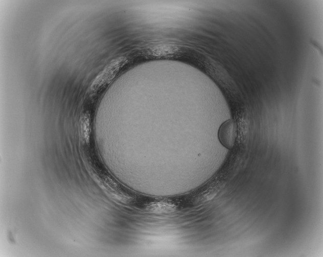 X0000103930644200810031300