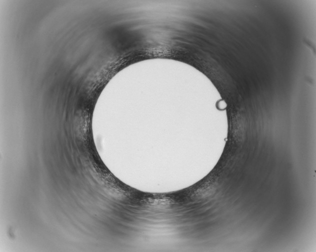 X0000103930645200810031300