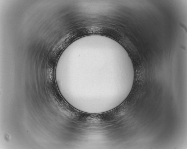 X0000103930648200810031300