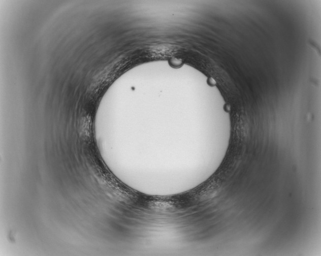 X0000103930649200810031300