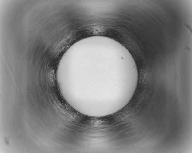 X0000103930650200810031300