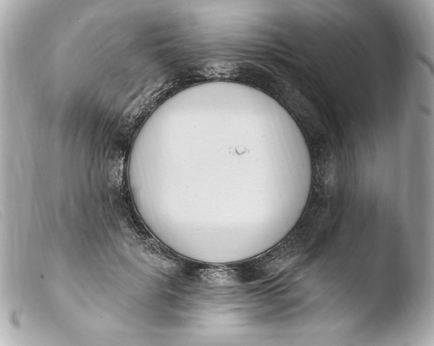 X0000103930652200810031300