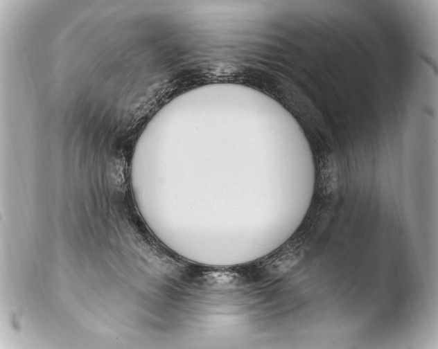 X0000103930654200810031300