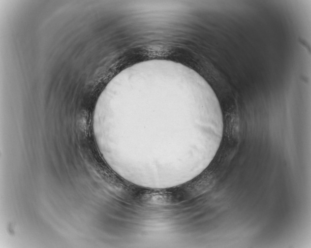 X0000103930655200810031300
