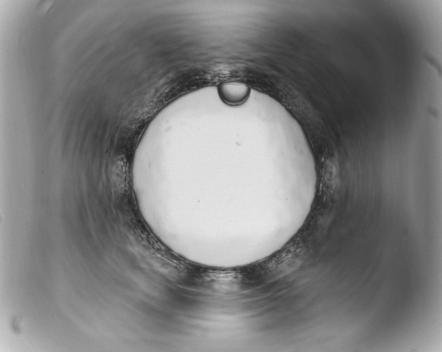 X0000103930659200810031300