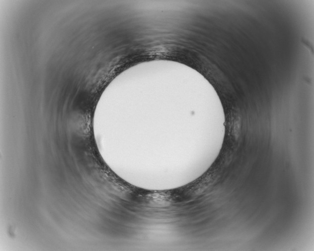 X0000103930660200810031300