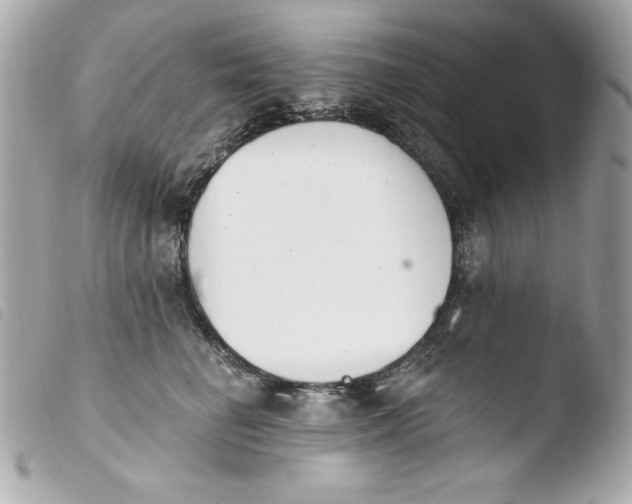 X0000103930662200810031300