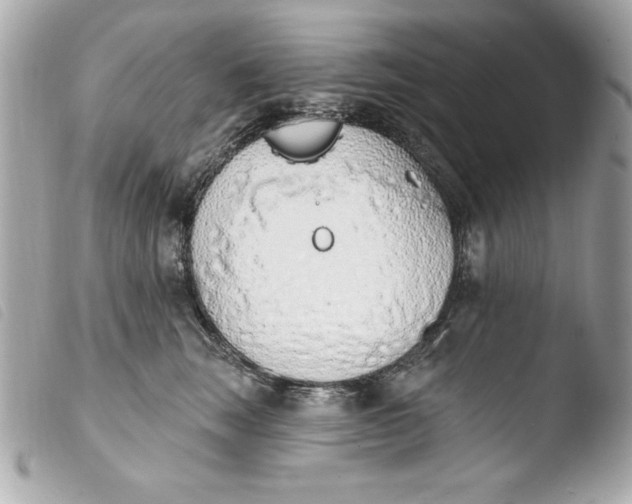X0000103930663200810031300