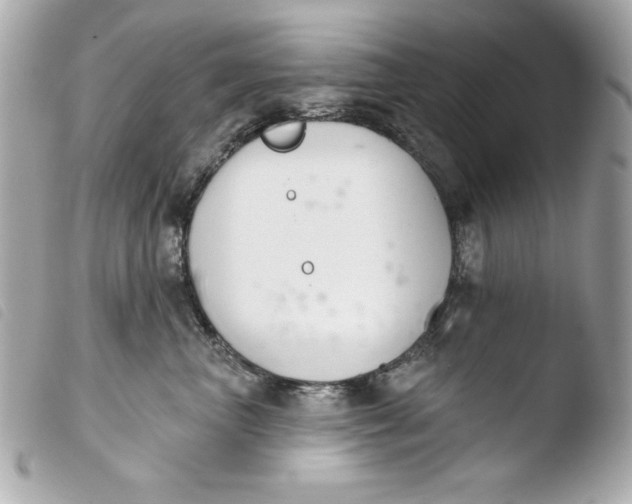 X0000103930667200810031300