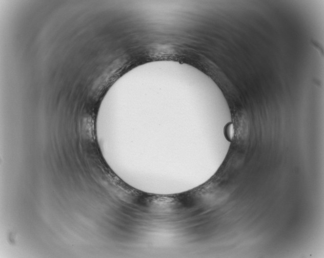 X0000103930669200810031300