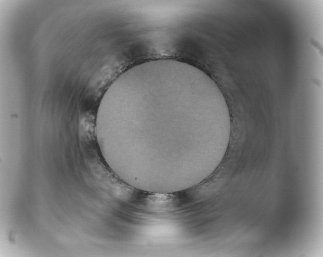 X0000103930672200810031300
