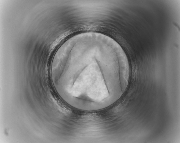 X0000103930674200810031300