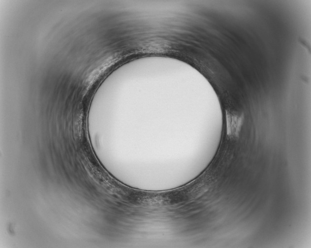 X0000103930675200810031259