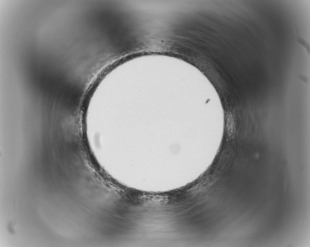 X0000103930676200810031259